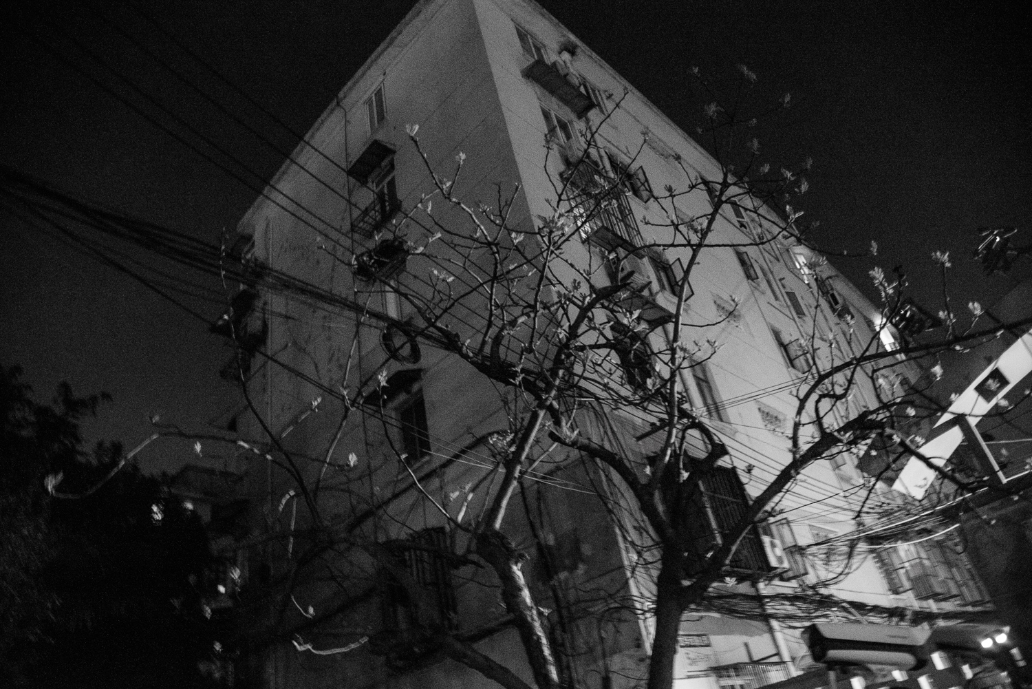 上海 2020 image 62